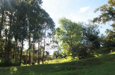 Casa de 4 alcobas en venta en Rionegro, Rionegro, 252 m² · foto 10 de 12