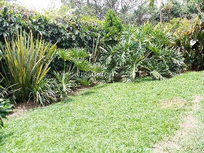 Casa de 3 alcobas en venta en Envigado, Envigado, 200 m² · foto 20 de 20