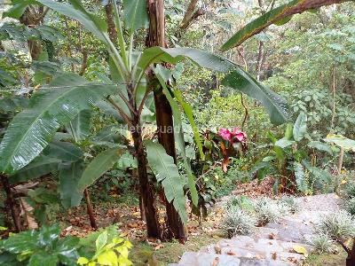 Casa de 5 alcobas en venta en Envigado, Envigado, 385 m² · foto 20 de 20