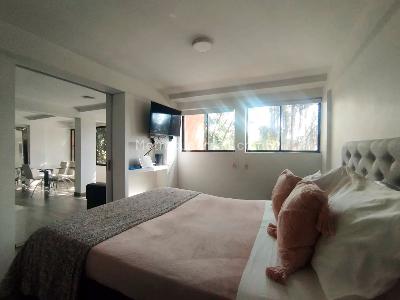 Apartamento de 1 alcoba en arriendo en El Poblado, Medellín, 55 m² · foto 8 de 12