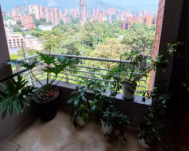 Apartamento de 3 alcobas en venta en Alejandría, Medellín, 155 m² · foto 12 de 12