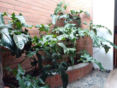 Casa de 4 alcobas en venta en Envigado, Envigado, 385 m² · foto 7 de 20
