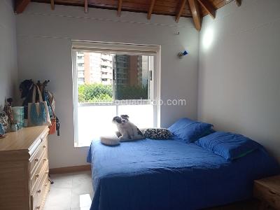 Casa de 4 alcobas en arriendo en El Poblado, Medellín, 300 m² · foto 12 de 18