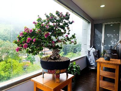 Apartamento de 3 alcobas en venta en El Poblado, Medellín, 294 m² · foto 19 de 20