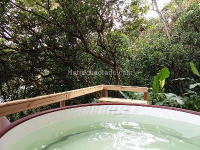 Casa de 4 alcobas en arriendo en Envigado, Envigado, 410 m² · foto 19 de 20