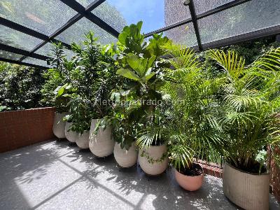 Casa de 3 alcobas en arriendo en El Poblado, Medellín, 330 m² · foto 20 de 20