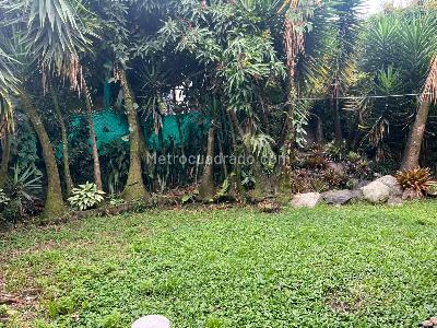 Casa de 3 alcobas en arriendo en Los Balsos, Medellín, 330 m² · foto 17 de 17