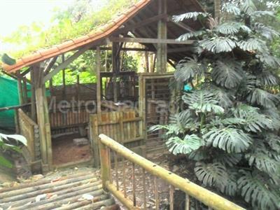 Casa de 5 alcobas en venta en El Poblado, Medellín, 1040 m² · foto 20 de 20
