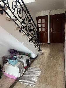 Apartamento de 4 alcobas en arriendo en San Patricio, Bogotá, 220 m² · foto 6 de 12
