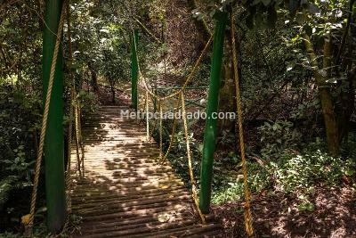 Apartamento de 3 alcobas en arriendo en Bosque De La Cañada, Bogotá, 210 m² · foto 16 de 17