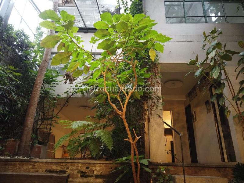 Edificio de Oficinas en Venta, San Felipe Barrios Unidos, Bogotá D.C. - Vista 3