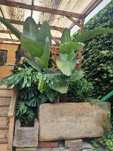 Casa de 5 alcobas en venta en Usaquen, Bogotá, 592 m² · foto 12 de 20