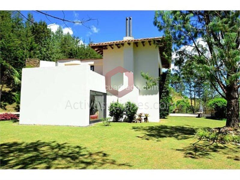 5BR Finca in La Fe (30000 m²) - 2