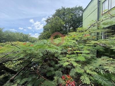 Apartamento en venta en La Mota, Medellín · foto 6 de 20