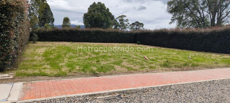 Lote en Venta, VEREDA FAGUA, Chía - Vista 4