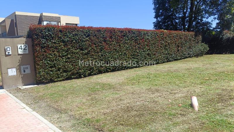 Lote en Venta, VEREDA FAGUA, Chía - Más