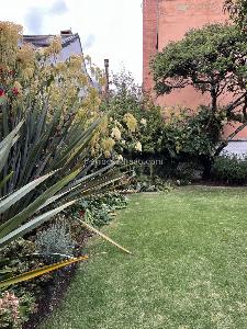 Casa de 4 alcobas en arriendo en Santa Ana Oriental, Bogotá, 430 m² · foto 20 de 20