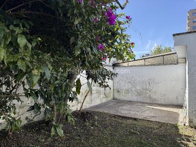Casa de 3 alcobas en venta en Pasadena, Bogotá, 243 m² · foto 8 de 20