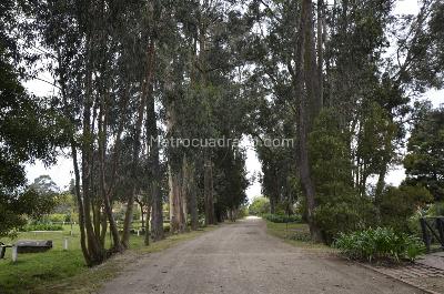 Casa en venta en Canelon, Cajicá · foto 2 de 17