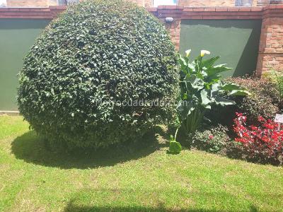 Apartaestudio en venta en Chia, Chía, 43 m² · foto 3 de 16