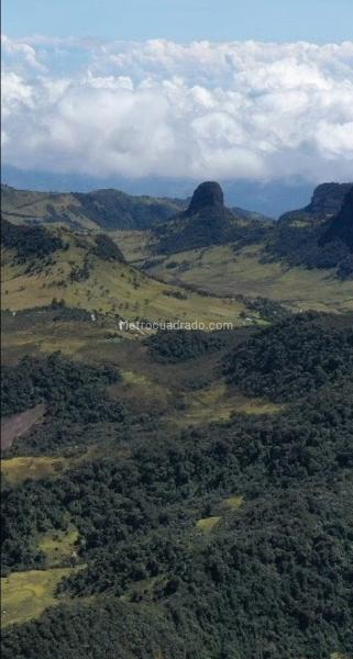Lote en Venta, Alto De Letras, Manizales - Vista 2