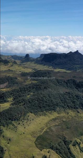 Lote en Venta, Alto De Letras, Manizales - Vista 3