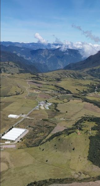 Lote en Venta, Alto De Letras, Manizales - Vista 5