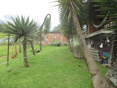 Casa de 3 alcobas en venta en Malteria, Manizales, 230 m² · foto 3 de 20