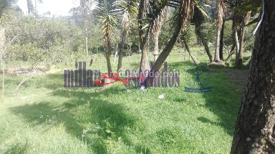 Casa de 3 alcobas en venta en Malteria, Manizales, 230 m² · foto 11 de 20
