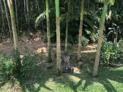 Casa de 3 alcobas en venta en Comuna Galicia/Galicia, Pereira, 300 m² · foto 17 de 20