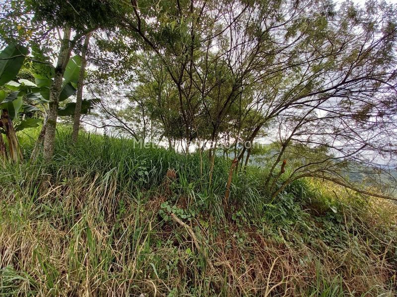 Lote en Venta, Arenillo, Manizales - Vista 2