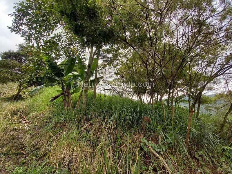Lote en Venta, Arenillo, Manizales - Vista 3