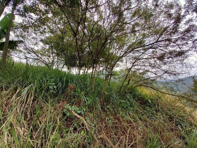 Lote en Venta, Arenillo, Manizales - Vista 4