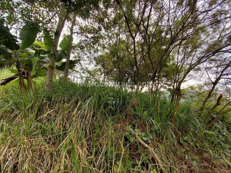 Lote en Venta, Arenillo, Manizales - Vista 5