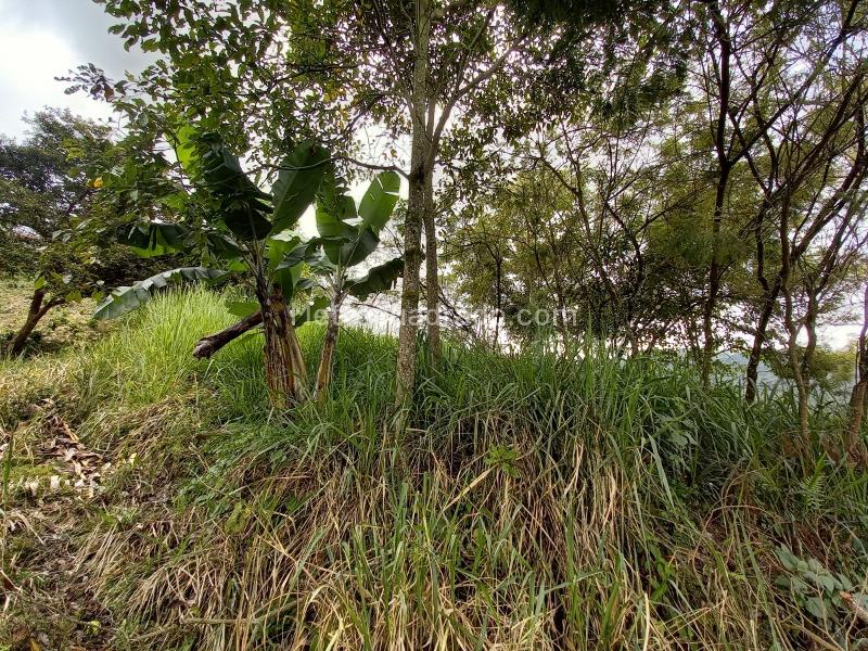 Lote en Venta, Arenillo, Manizales - Más