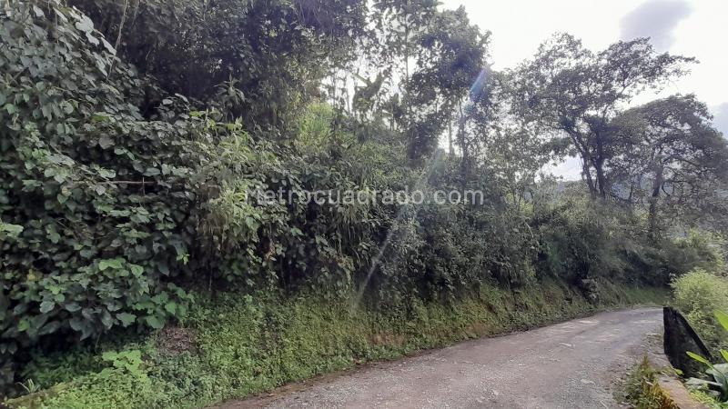 Lote en Venta, Puerta Del Sol (Corinto), Manizales - Vista 2