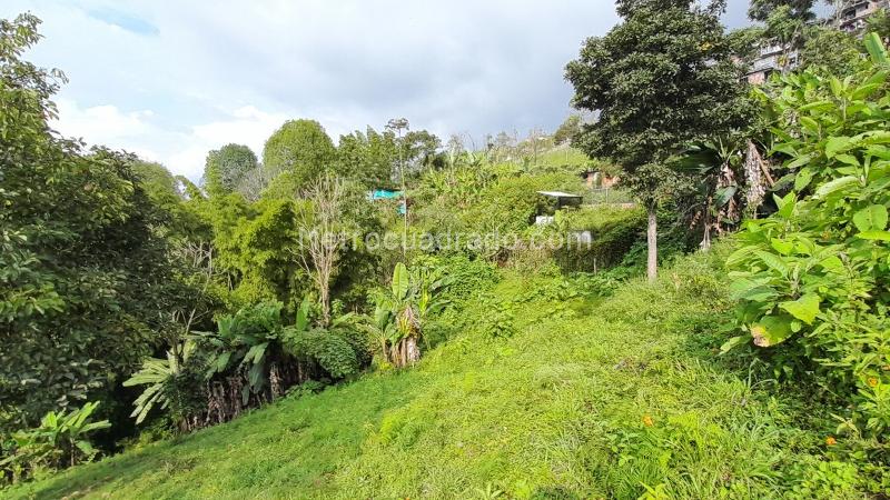Lote en Venta, Puerta Del Sol (Corinto), Manizales - Vista 3