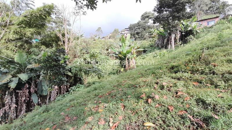 Lote en Venta, Puerta Del Sol (Corinto), Manizales - Vista 4