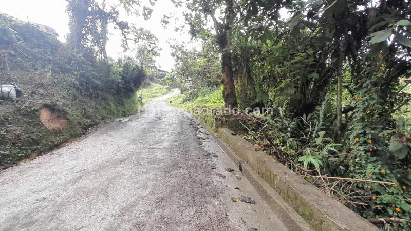 Lote en Venta, Puerta Del Sol (Corinto), Manizales - Vista 5