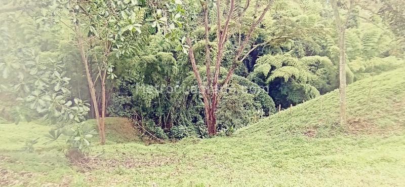 Lote en Venta, Vereda Minitas, Manizales - Vista 2