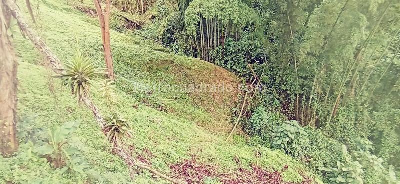 Lote en Venta, Vereda Minitas, Manizales - Vista 4