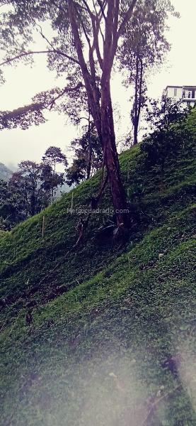 Lote en Venta, Vereda Minitas, Manizales - Vista 5