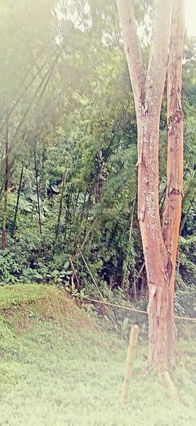 Lote en Venta, Vereda Minitas, Manizales - Más