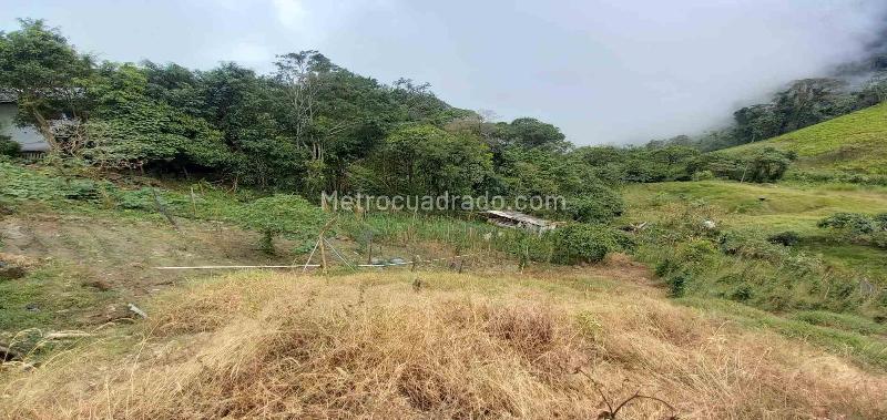 Lote en Venta, Morrogacho, Manizales - Vista 2