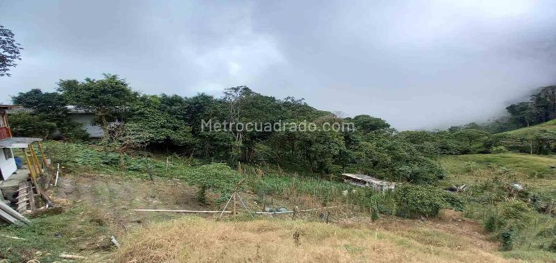 Lote en Venta, Morrogacho, Manizales - Vista 3