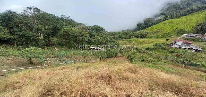 Lote en Venta, Morrogacho, Manizales - Vista 4