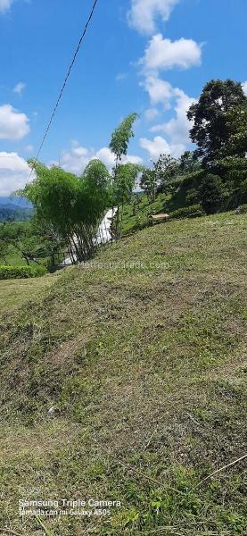 Lote en Venta, Vereda Changai, Manizales - Vista 3
