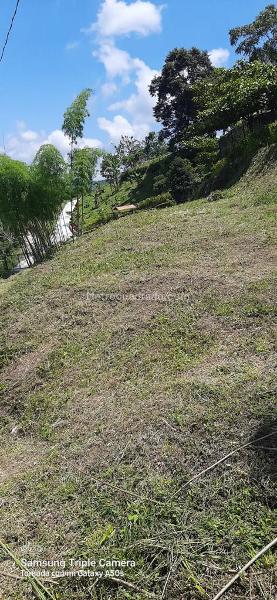 Lote en Venta, Vereda Changai, Manizales - Más