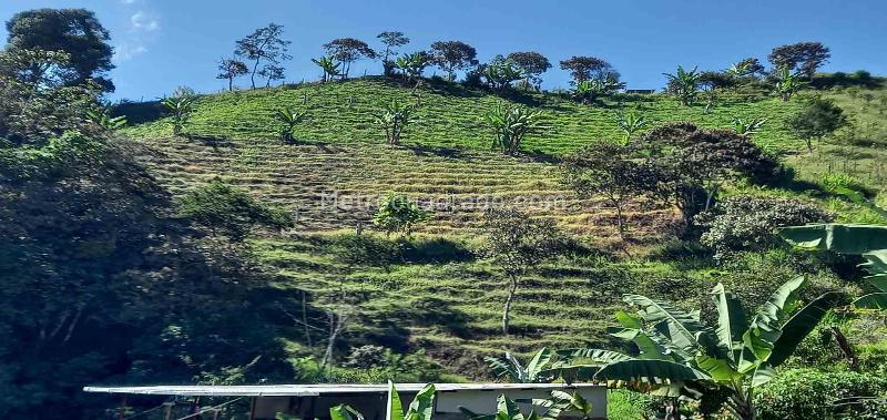 Lote en Venta, Vereda El Aguila, Manizales - Vista 3