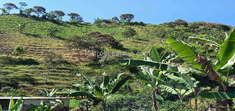 Lote en Venta, Vereda El Aguila, Manizales - Vista 4